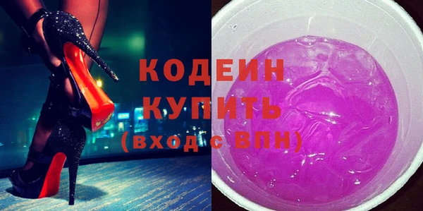 индика Вяземский