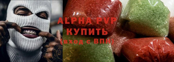 индика Вяземский
