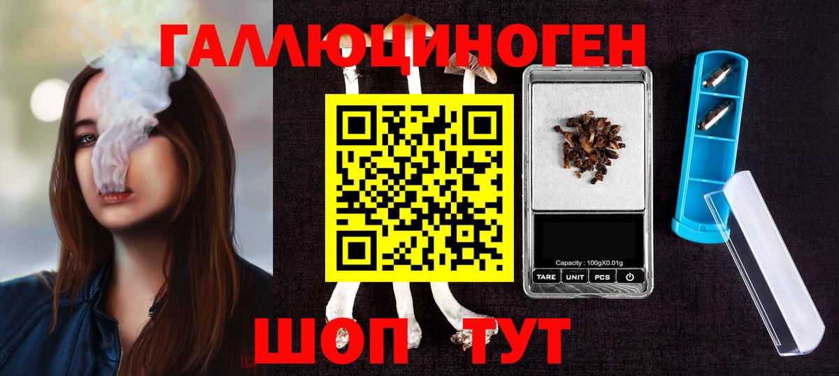 Галлюциногенные грибы Psilocybine cubensis Нефтеюганск